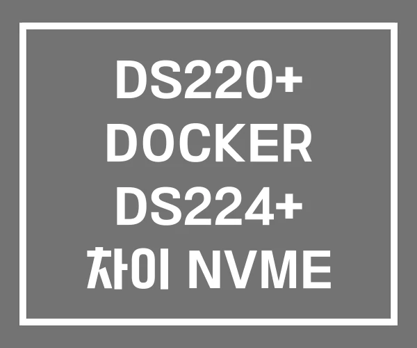 DS220+ DOCKER DS224+ 차이 NVME
