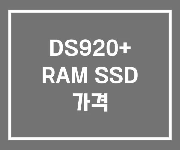 DS920+ RAM SSD 가격