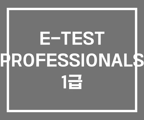 E-TEST PROFESSIONALS 1급 E-TEST PROFESSIONALS 1급