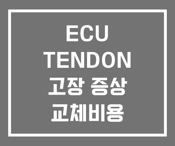 ECU TENDON 고장 증상 교체비용 ECU TENDON 고장 증상 교체비용