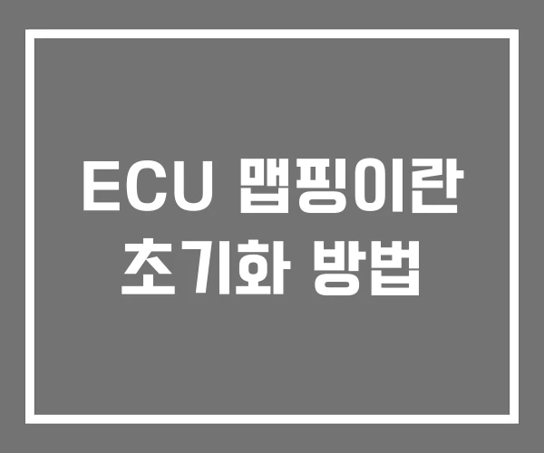 ECU 맵핑이란 초기화 방법
