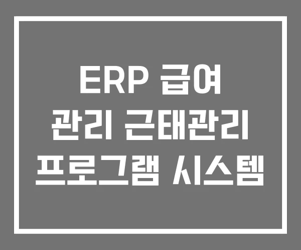 ERP 급여 관리 근태관리 프로그램 시스템 ERP 급여 관리 근태관리 프로그램 시스템