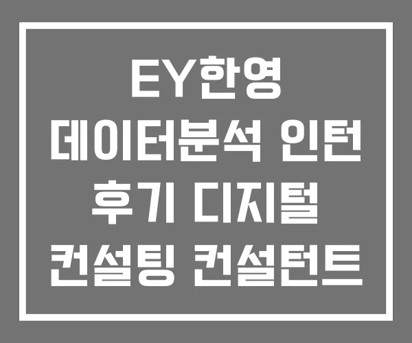 EY한영 데이터분석 인턴 후기 디지털 컨설팅 컨설턴트 EY한영 데이터분석 인턴 후기 디지털 컨설팅 컨설턴트