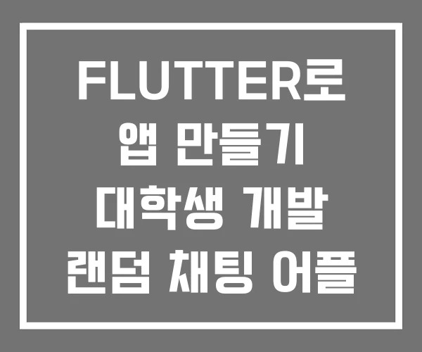 FLUTTER로 앱 만들기 대학생 개발 랜덤 채팅 어플 FLUTTER로 앱 만들기 대학생 개발 랜덤 채팅 어플