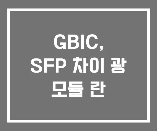 GBIC, SFP 차이 광 모듈 란 GBIC, SFP 차이 광 모듈 란