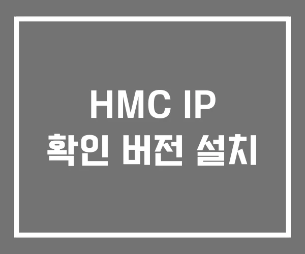 HMC IP 확인 버전 설치