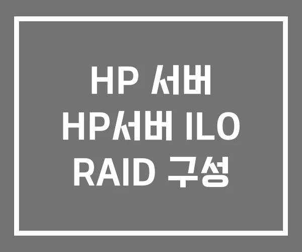 HP 서버 HP서버 ILO RAID 구성 HP 서버 HP서버 ILO RAID 구성