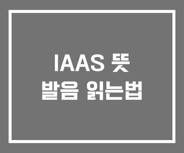 IAAS 뜻 발음 읽는법