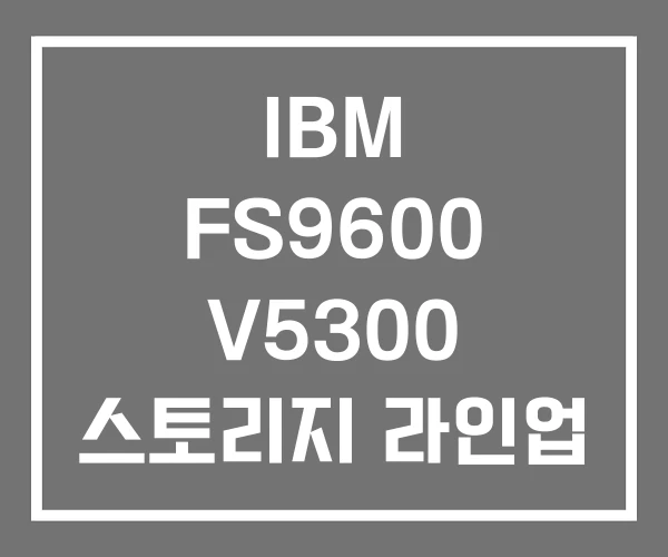IBM FS9600 V5300 스토리지 라인업 IBM FS9600 V5300 스토리지 라인업