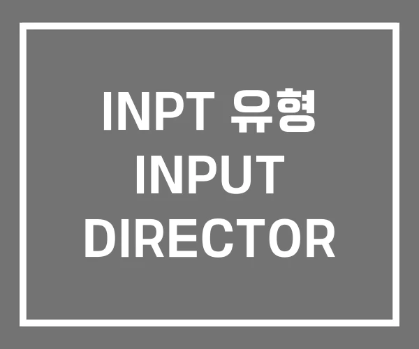 INPT 유형 INPUT DIRECTOR