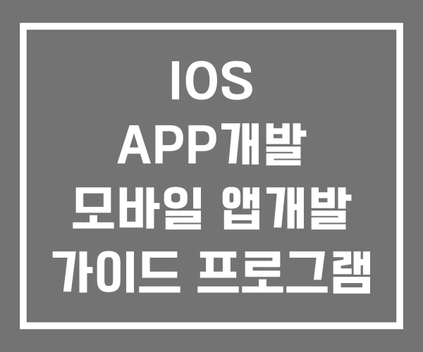 IOS APP개발 모바일 앱개발 가이드 프로그램