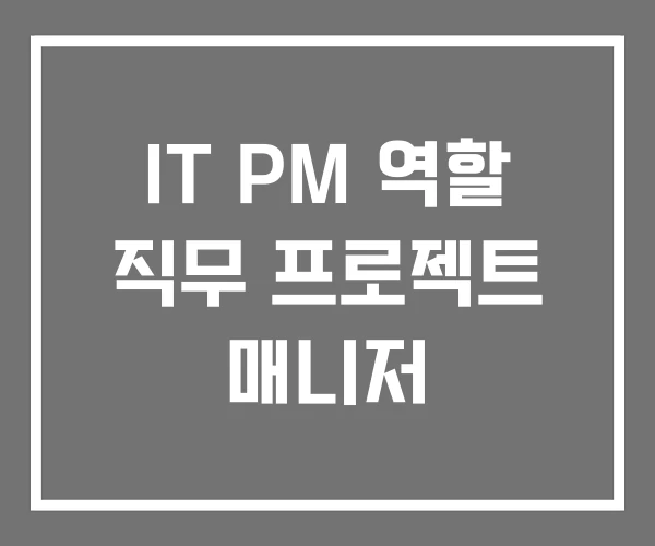 IT PM 역할 직무 프로젝트 매니저