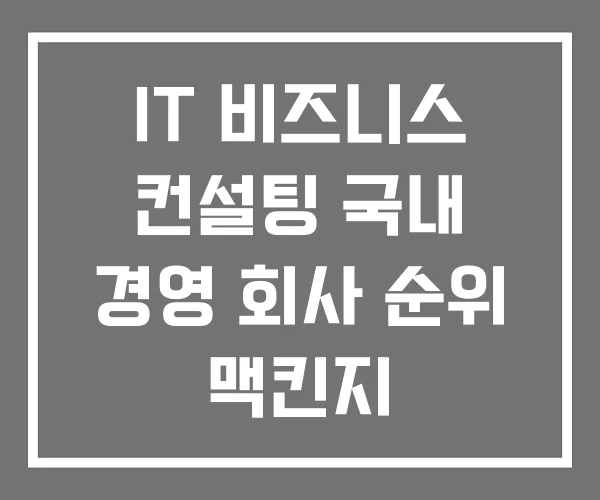 IT 비즈니스 컨설팅 국내 경영 회사 순위 맥킨지 IT 비즈니스 컨설팅 국내 경영 회사 순위 맥킨지