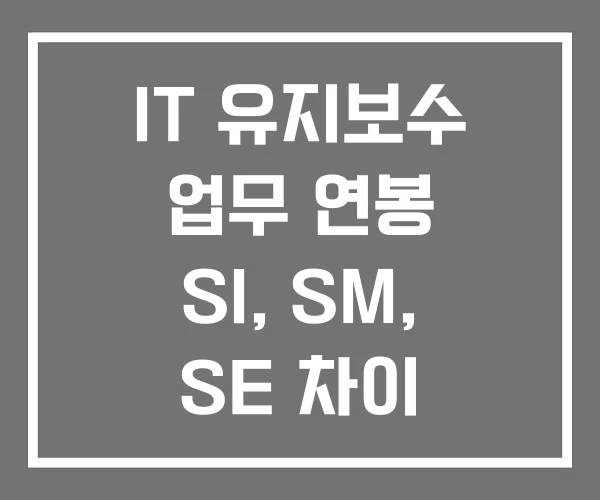 IT 유지보수 업무 연봉 SI, SM, SE 차이