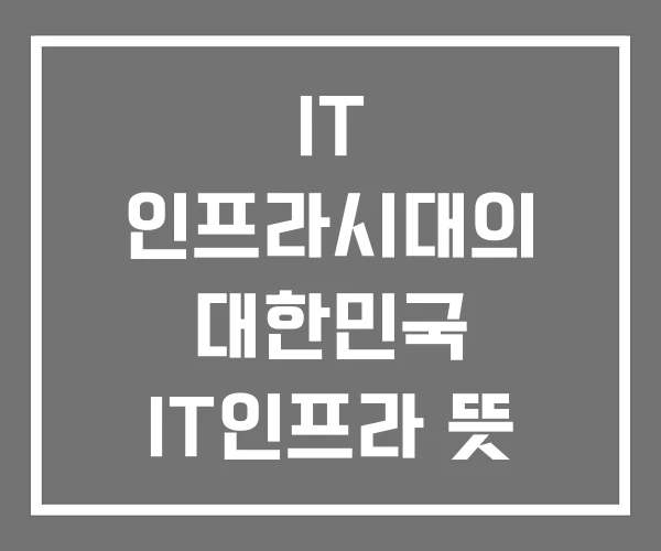 IT 인프라시대의 대한민국 IT인프라 뜻 엔지니어