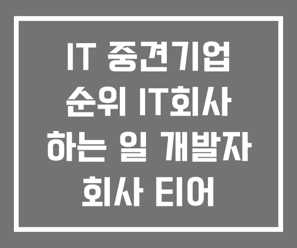 IT 중견기업 순위 IT회사 하는 일 개발자 회사 티어