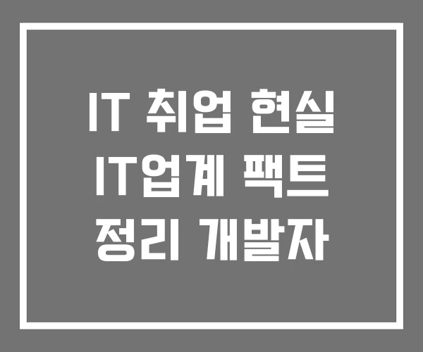 IT 취업 현실 IT업계 팩트 정리 개발자