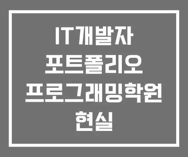 IT개발자 포트폴리오 프로그래밍학원 현실