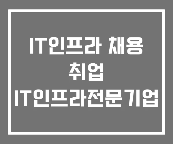 IT인프라 채용 취업 IT인프라전문기업