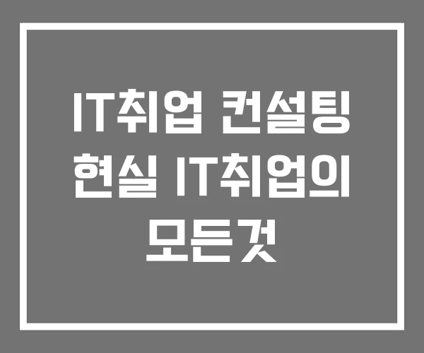 IT취업 컨설팅 현실 IT취업의 모든것