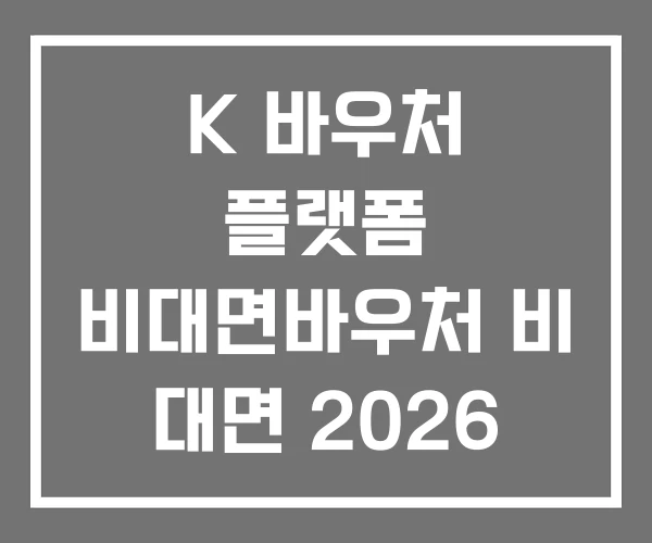 K 바우처 플랫폼 비대면바우처 비 대면 2026 K 바우처 플랫폼 비대면바우처 비 대면 2026