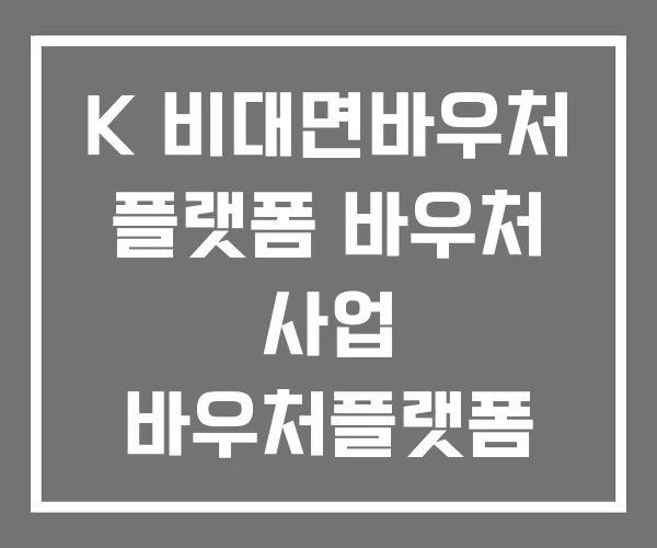 K 비대면바우처 플랫폼 바우처 사업 바우처플랫폼