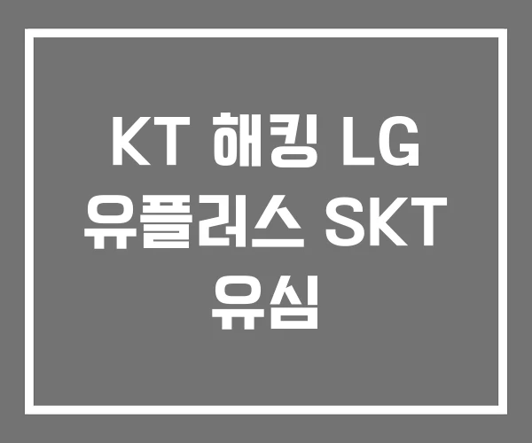 KT 해킹 LG 유플러스 SKT 유심 KT 해킹 LG 유플러스 SKT 유심