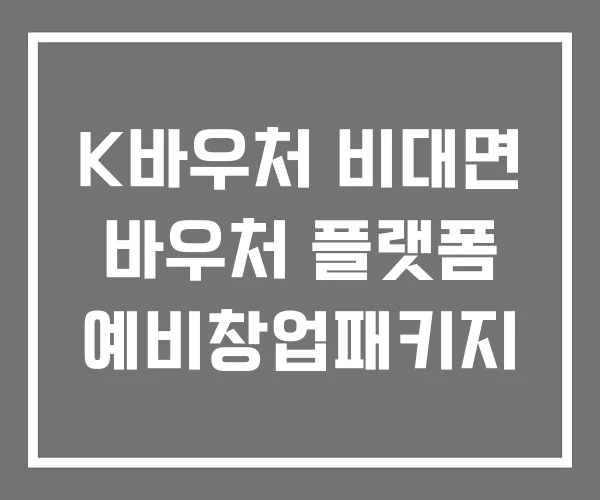 K바우처 비대면 바우처 플랫폼 예비창업패키지 K바우처 비대면 바우처 플랫폼 예비창업패키지