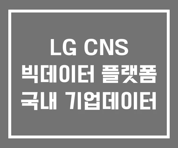 LG CNS 빅데이터 플랫폼 국내 기업데이터 LG CNS 빅데이터 플랫폼 국내 기업데이터