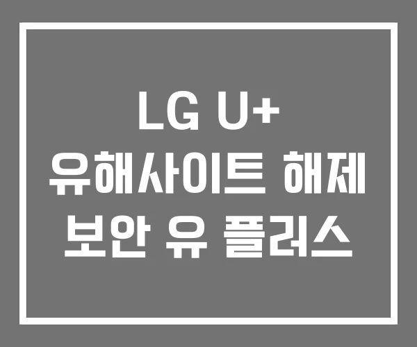 LG U+ 유해사이트 해제 보안 유 플러스