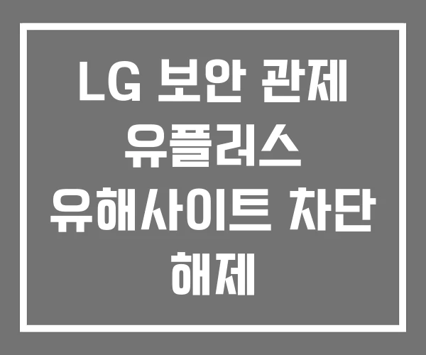 LG 보안 관제 유플러스 유해사이트 차단 해제