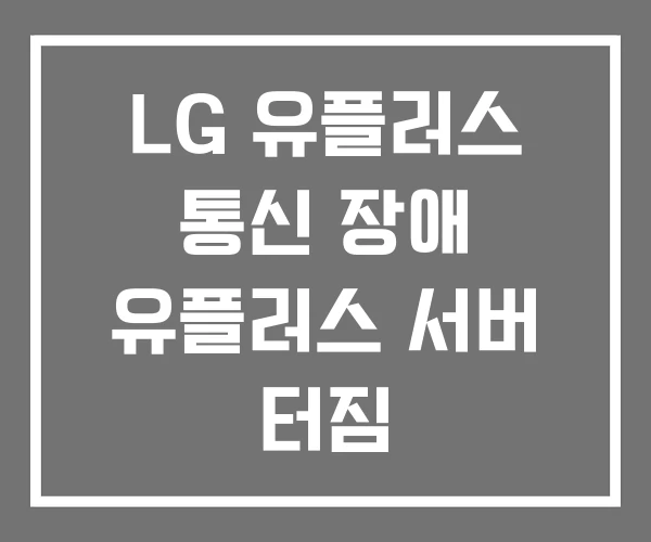 LG 유플러스 통신 장애 유플러스 서버 터짐