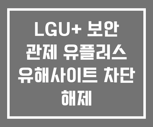 LGU+ 보안 관제 유플러스 유해사이트 차단 해제