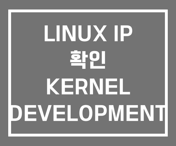 LINUX IP 확인 KERNEL DEVELOPMENT