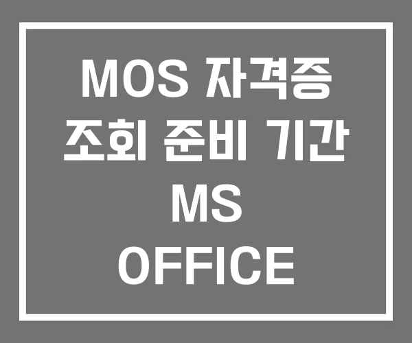 MOS 자격증 조회 준비 기간 MS OFFICE
