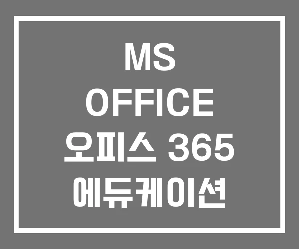 MS OFFICE 오피스 365 에듀케이션