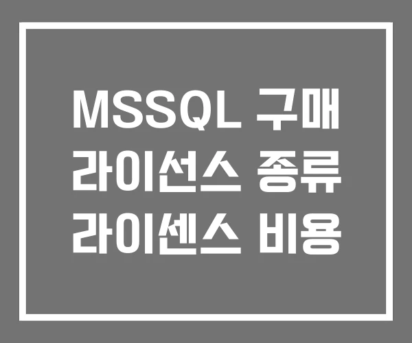 MSSQL 구매 라이선스 종류 라이센스 비용