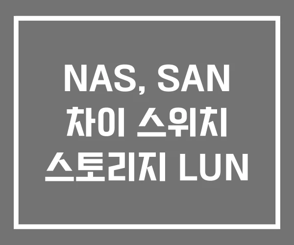 NAS, SAN 차이 스위치 스토리지 LUN