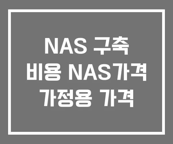 NAS 구축 비용 NAS가격 가정용 가격