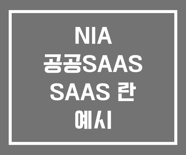 NIA 공공SAAS SAAS 란 예시