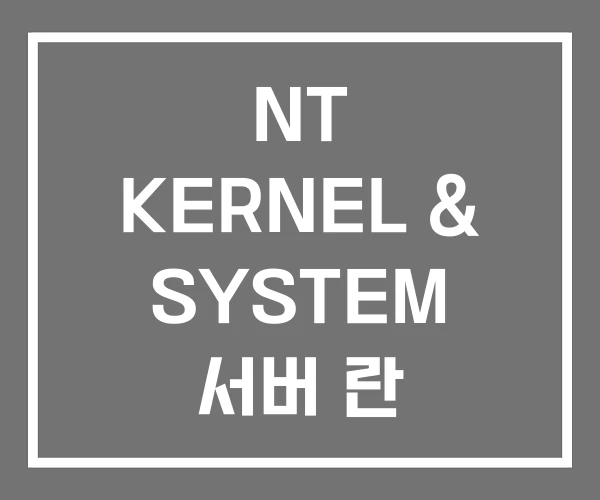 NT KERNEL & SYSTEM 서버 란