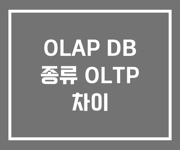 OLAP DB 종류 OLTP 차이