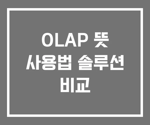 OLAP 뜻 사용법 솔루션 비교