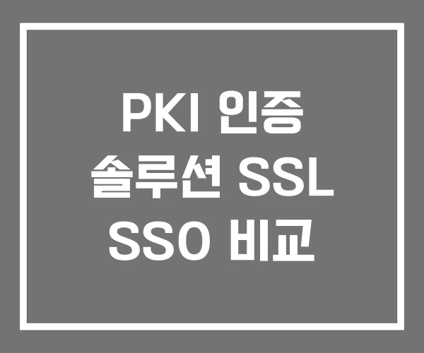 PKI 인증 솔루션 SSL SSO 비교
