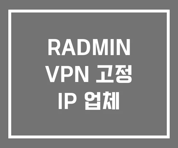 RADMIN VPN 고정 IP 업체 RADMIN VPN 고정 IP 업체