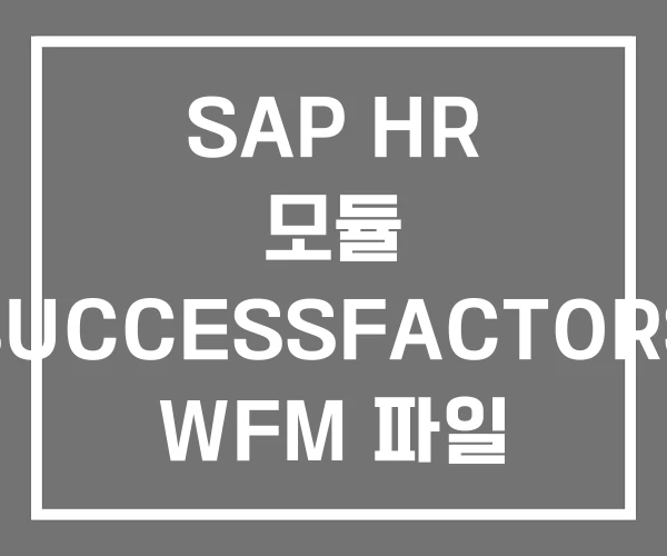 SAP HR 모듈 SUCCESSFACTORS WFM 파일