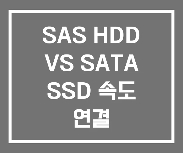 SAS HDD VS SATA SSD 속도 연결 SAS HDD VS SATA SSD 속도 연결