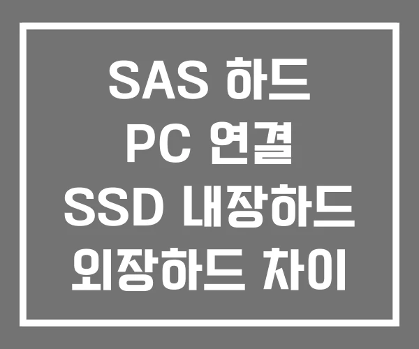 SAS 하드 PC 연결 SSD 내장하드 외장하드 차이
