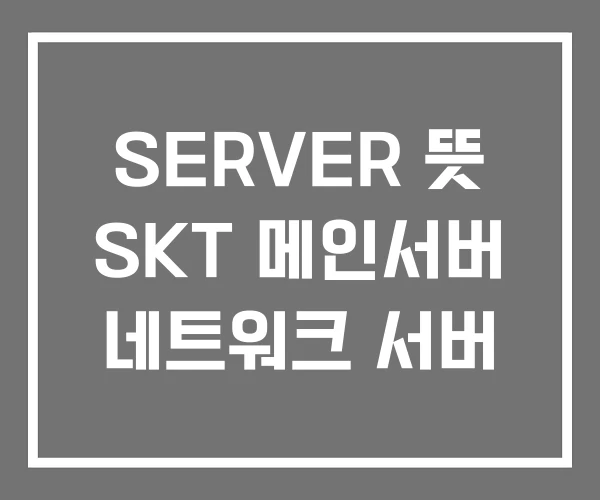 SERVER 뜻 SKT 메인서버 네트워크 서버