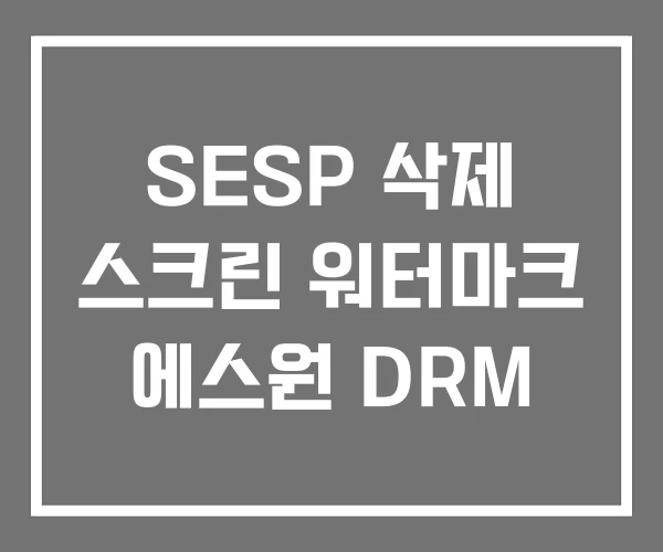 SESP 삭제 스크린 워터마크 에스원 DRM